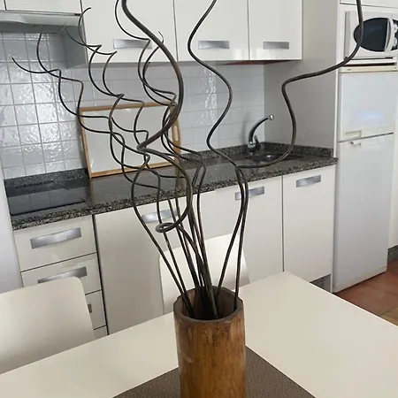 Apartamentos Caceres * Caces
